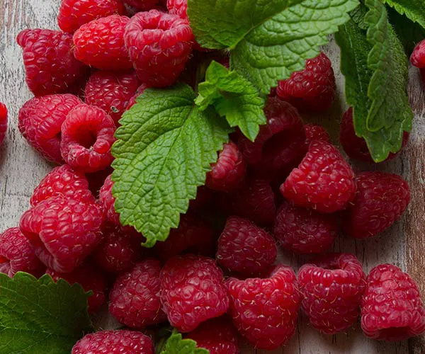 best breakfast carb belly fat
