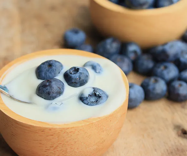 yogurt