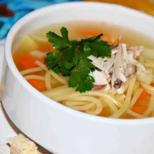 chicken noodle soup