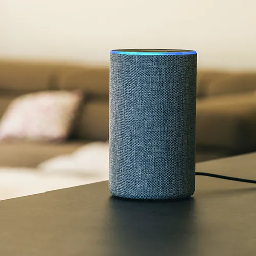 unplug alexa