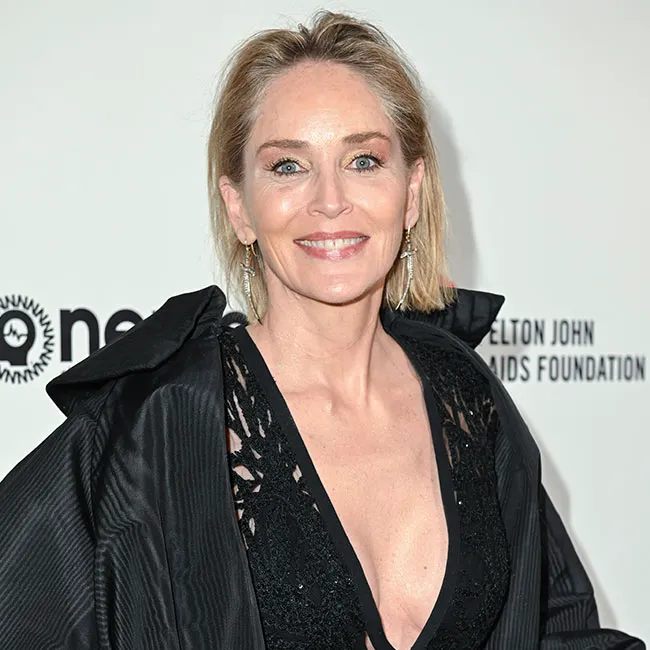 sharon stone reveals details on her 2001 stroke