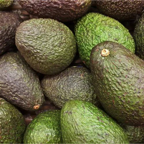 bunch of avocados