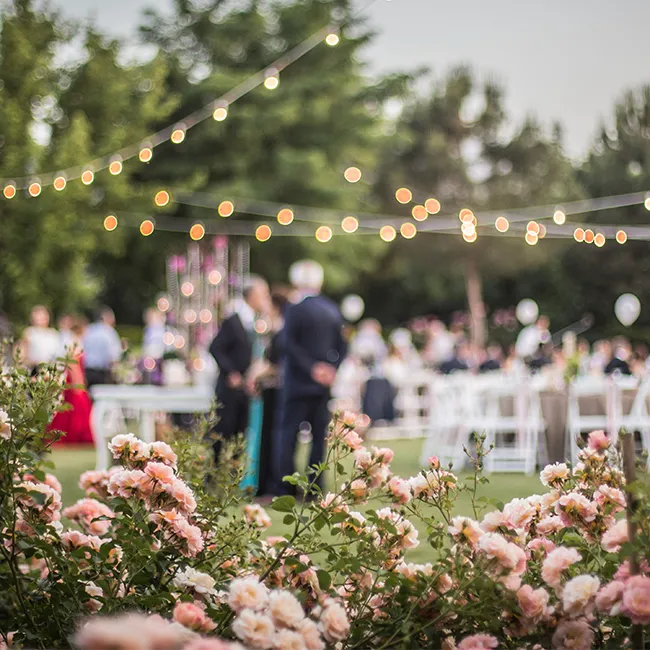 Outdoor wedding