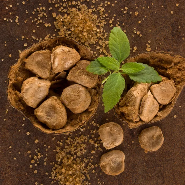 monk fruit all natural sweetener green leaf opened monk fruit and sweetener crumbles on brown table