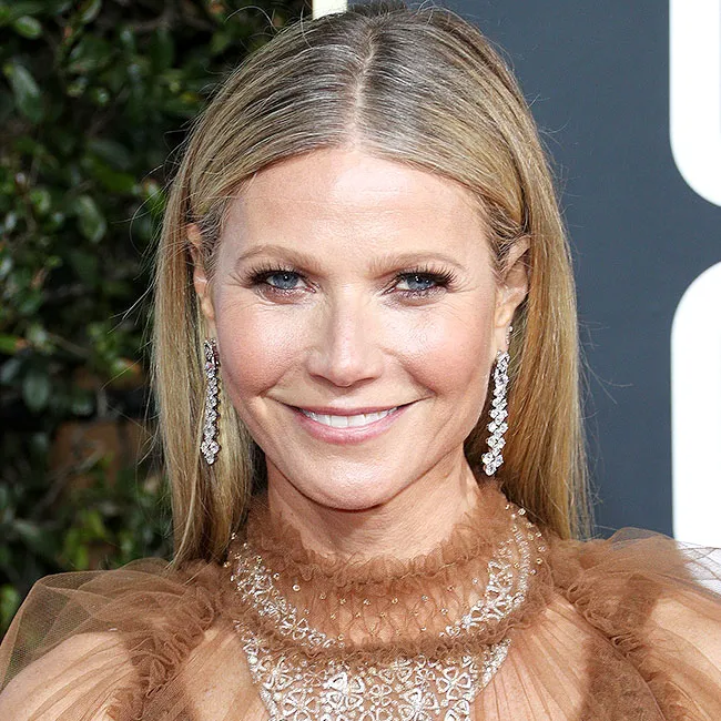 Gwyneth Paltrow herringbone highlights