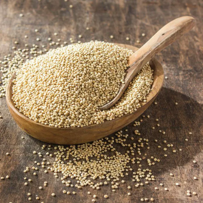 sorghum