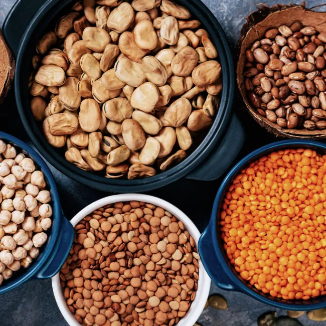 dry beans