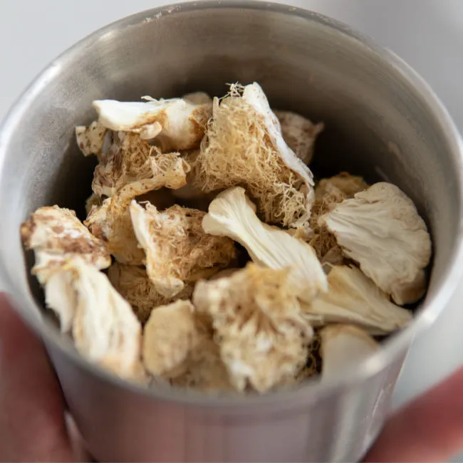 lion's mane in mug