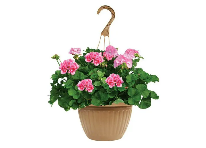 hanging flower basket