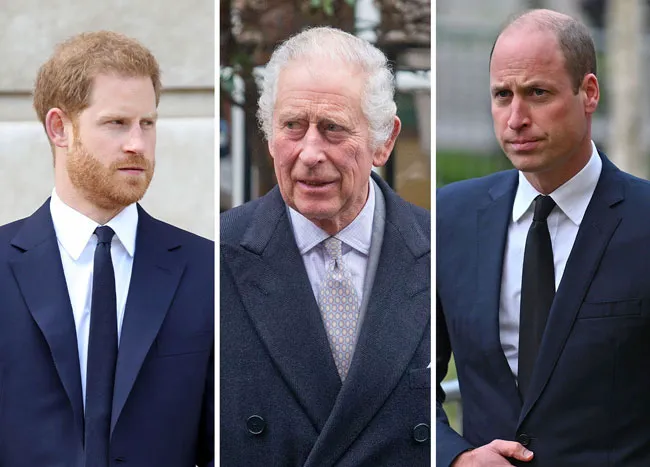 Prince Harry and King Charles and Prince William