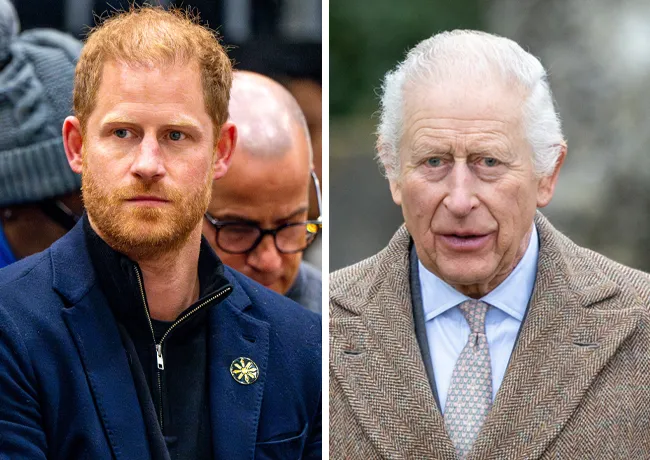 prince harry king charles