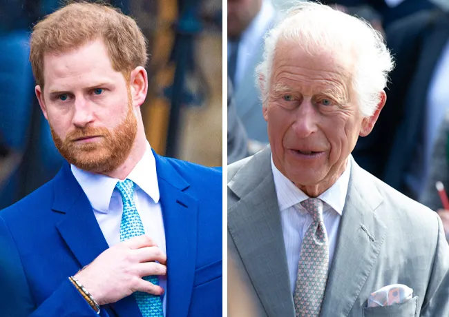 King Charles and Prince Harry
