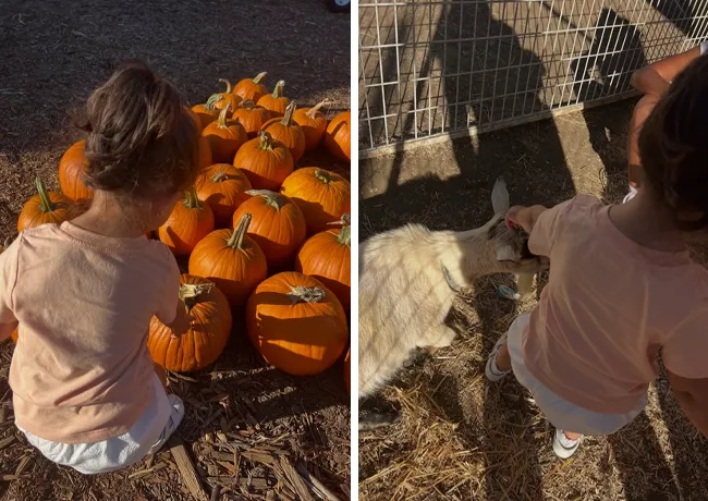 Mindy Kaling daughter Anne second birthday Instagram post pumpkins