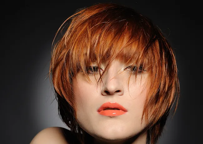 shag-bob