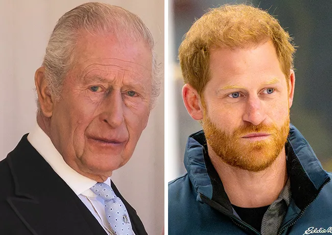 King Charles and Prince Harry