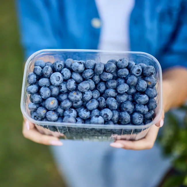 "A selection of anti-inflammatory foods"