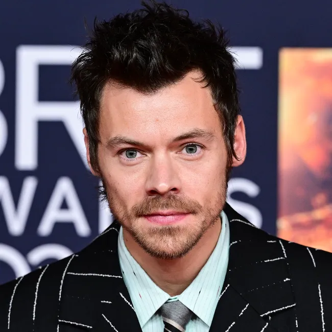 "Harry Styles at the Brit Awards"