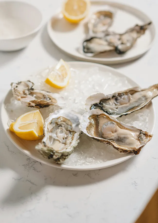 oysters